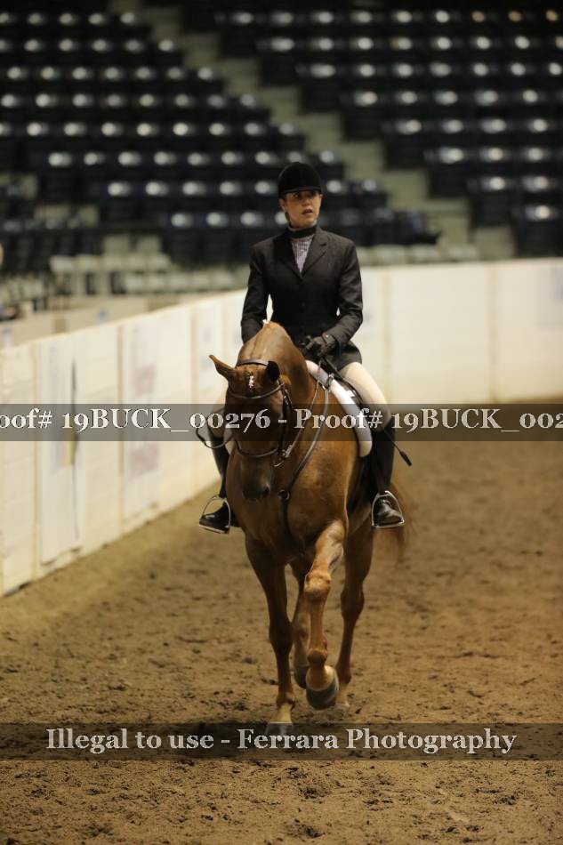 Proof 19BUCK_00276