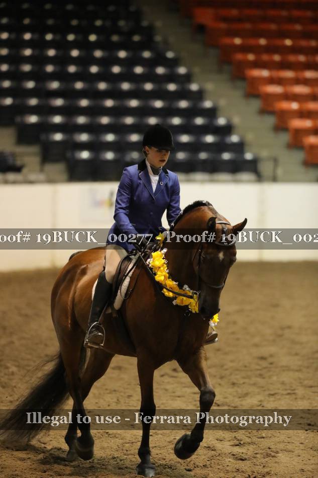 Proof 19BUCK_00277