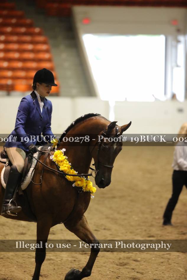 Proof 19BUCK_00278