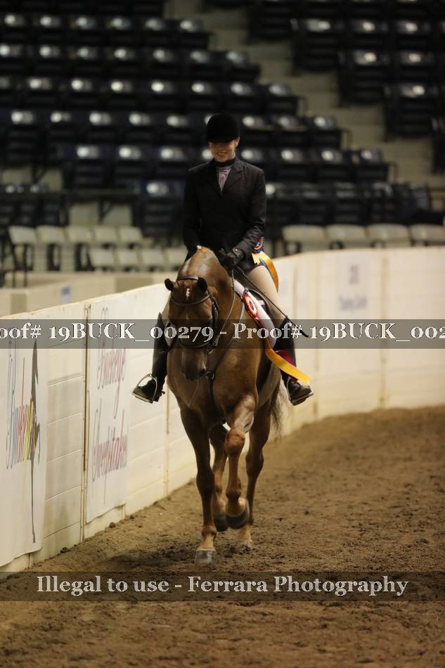 Proof 19BUCK_00279
