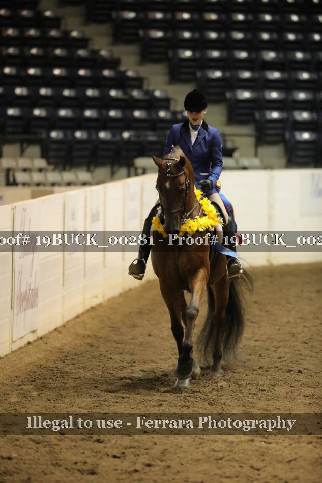Proof 19BUCK_00281