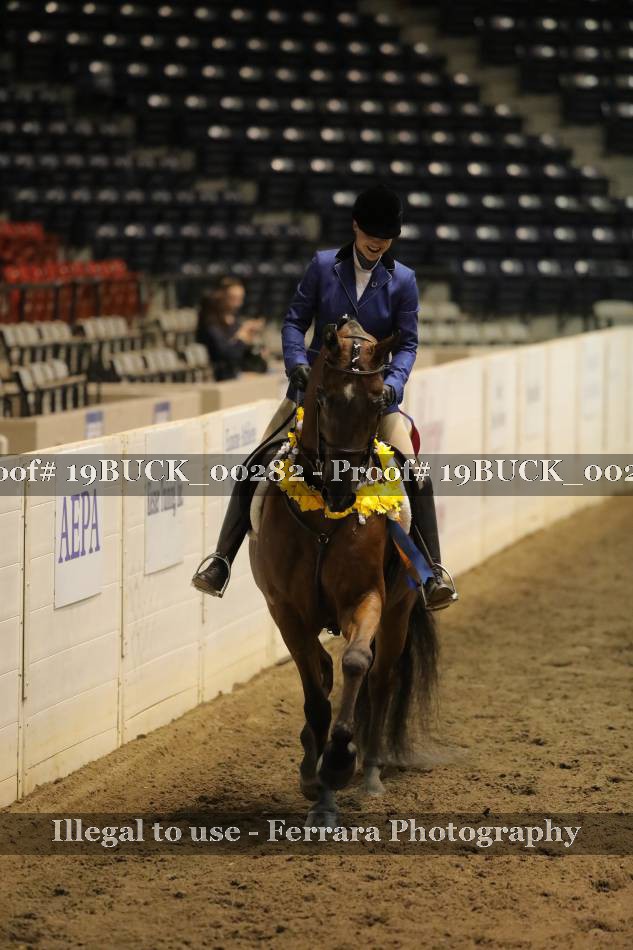 Proof 19BUCK_00282