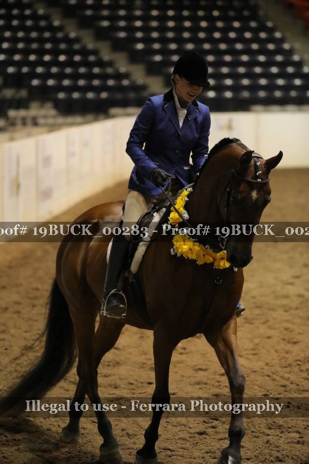 Proof 19BUCK_00283
