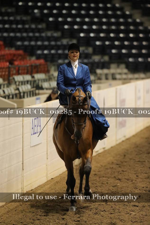 Proof 19BUCK_00285
