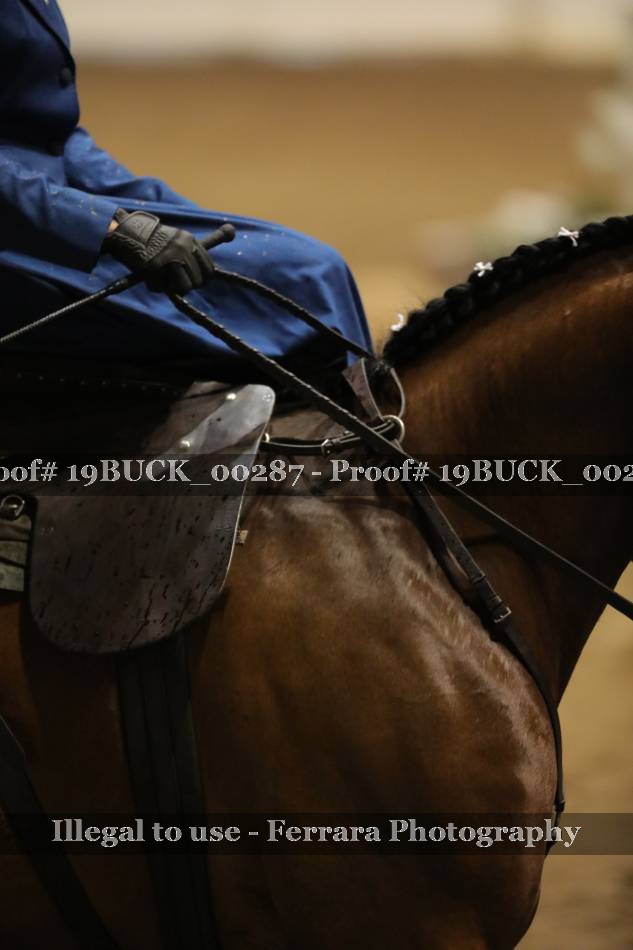 Proof 19BUCK_00287