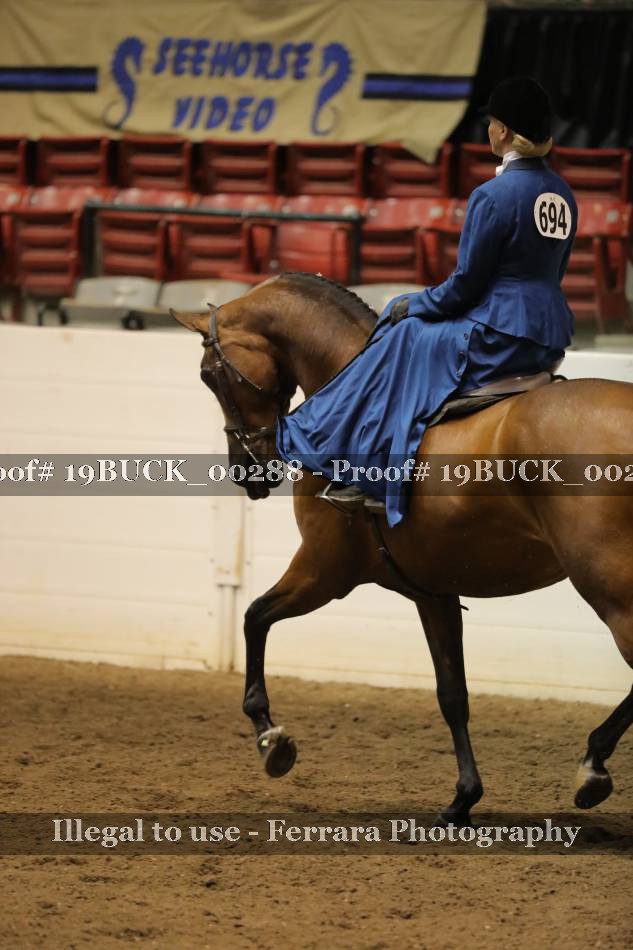 Proof 19BUCK_00288