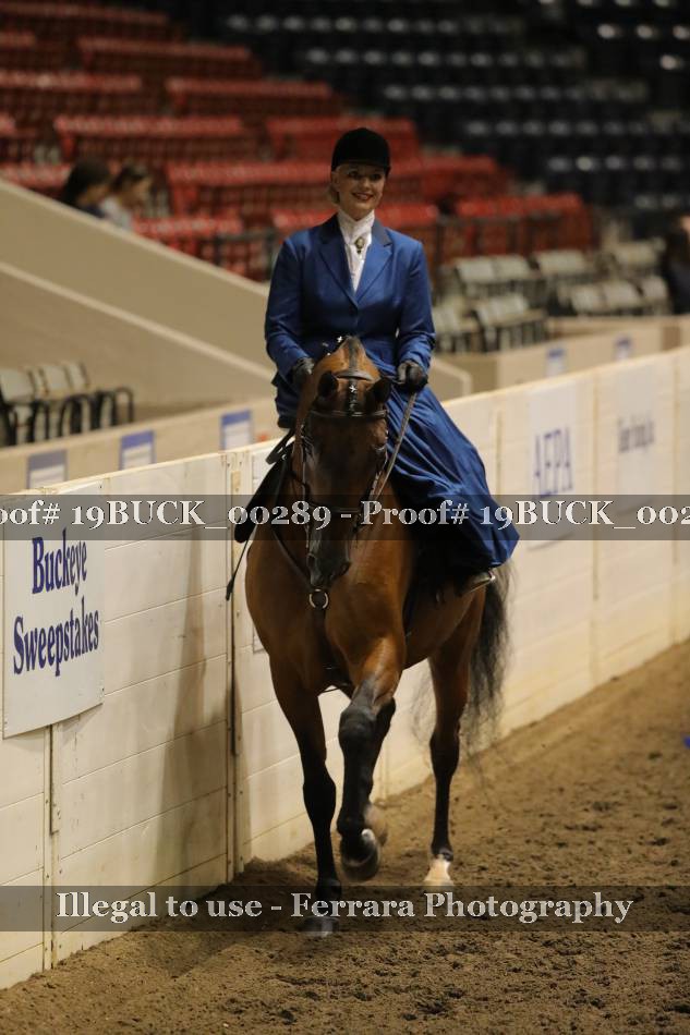 Proof 19BUCK_00289
