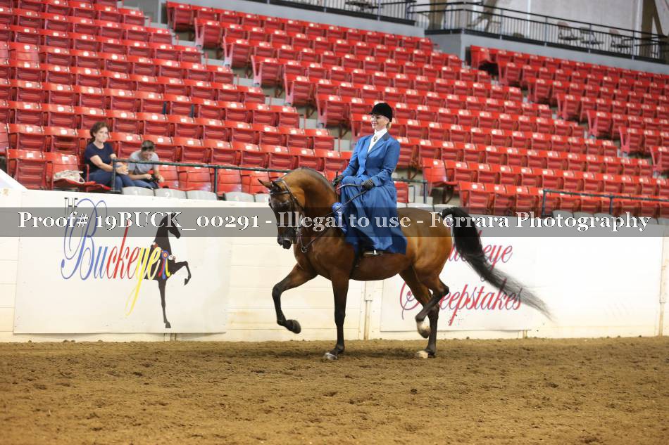 Proof 19BUCK_00291