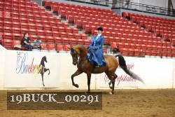 19BUCK_00291 proof