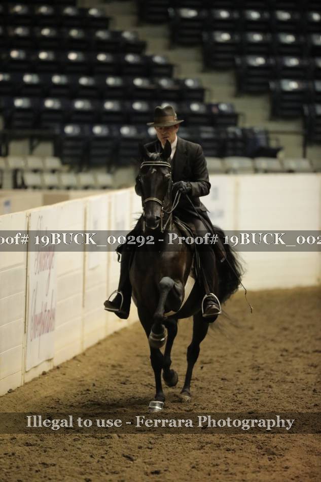 Proof 19BUCK_00292
