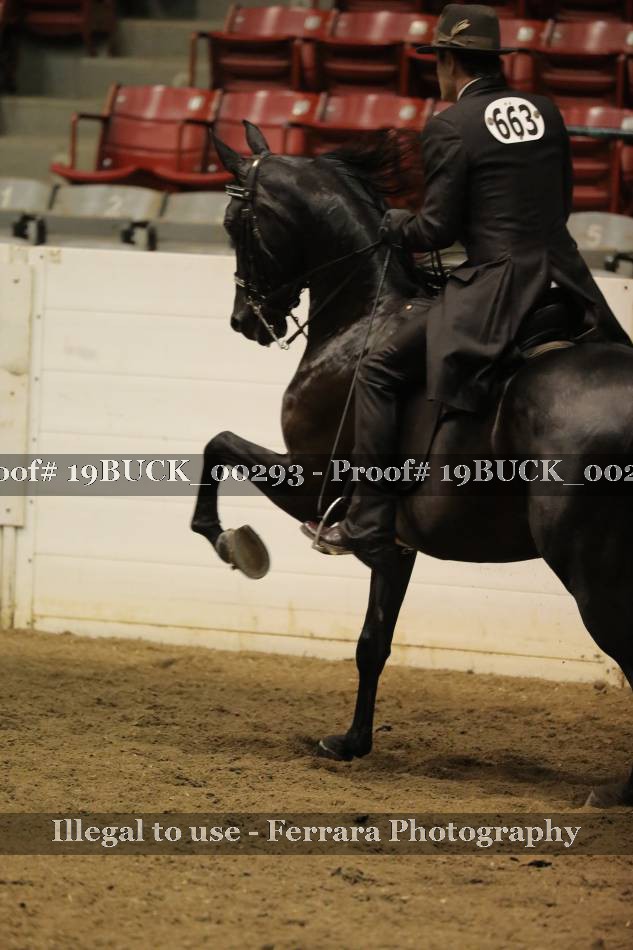 Proof 19BUCK_00293