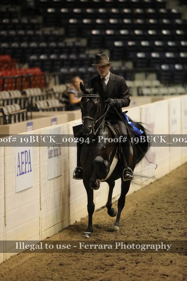 Proof 19BUCK_00294