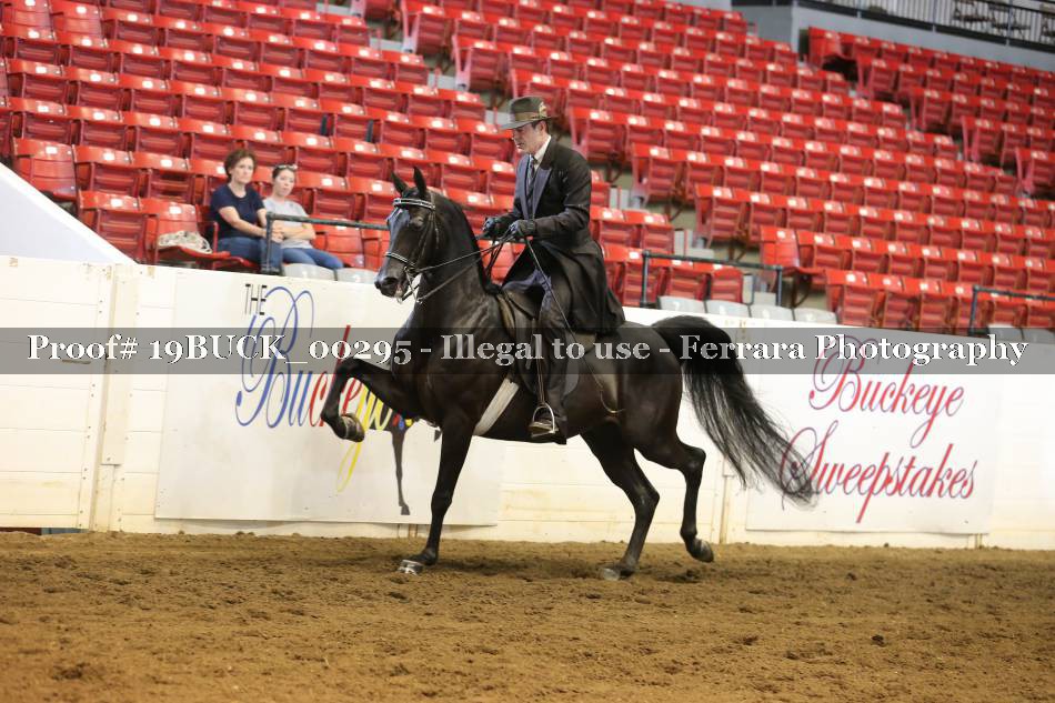 Proof 19BUCK_00295