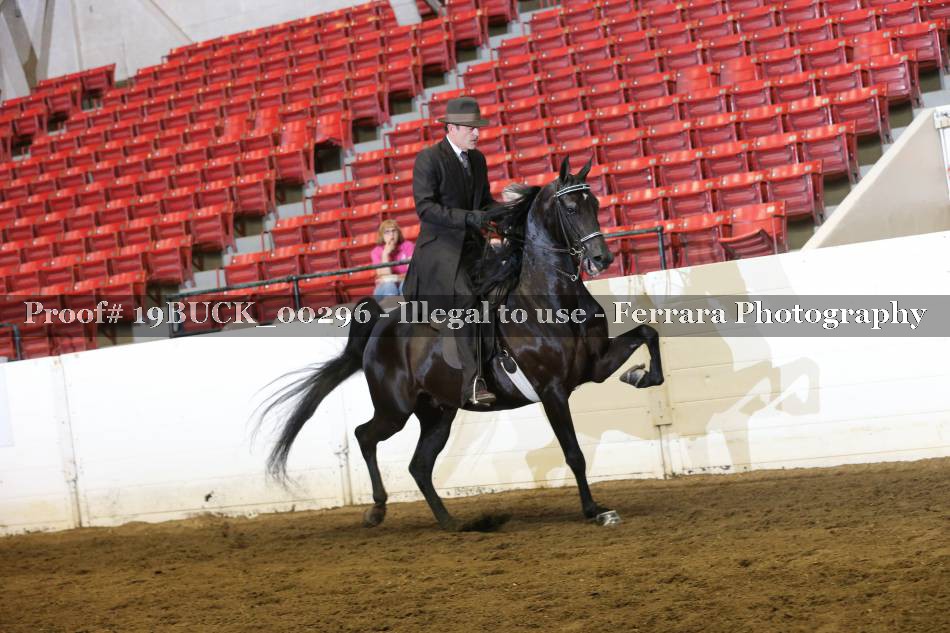Proof 19BUCK_00296