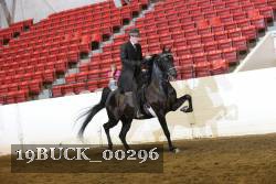 19BUCK_00296 proof