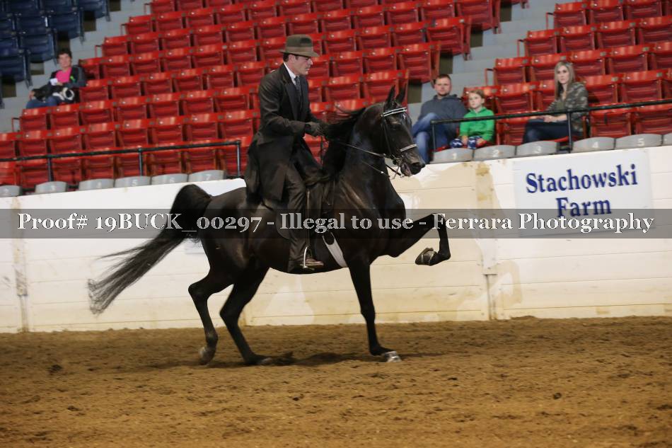 Proof 19BUCK_00297