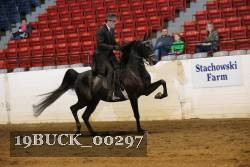 19BUCK_00297 proof
