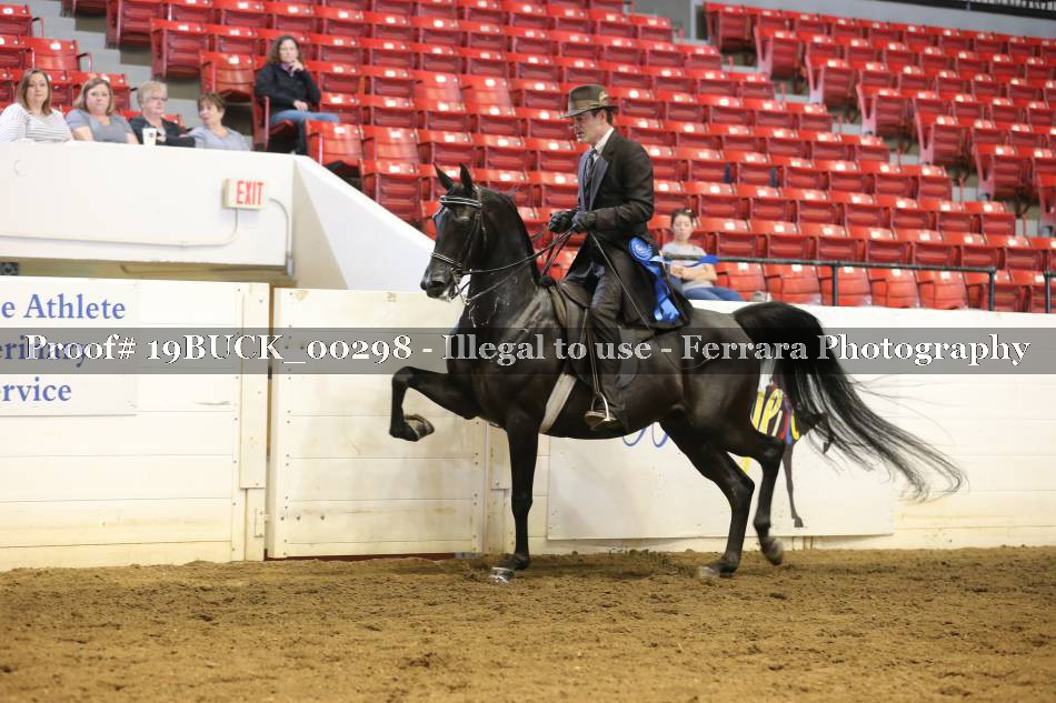 Proof 19BUCK_00298