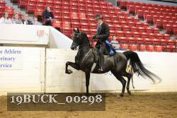 19BUCK_00298 proof