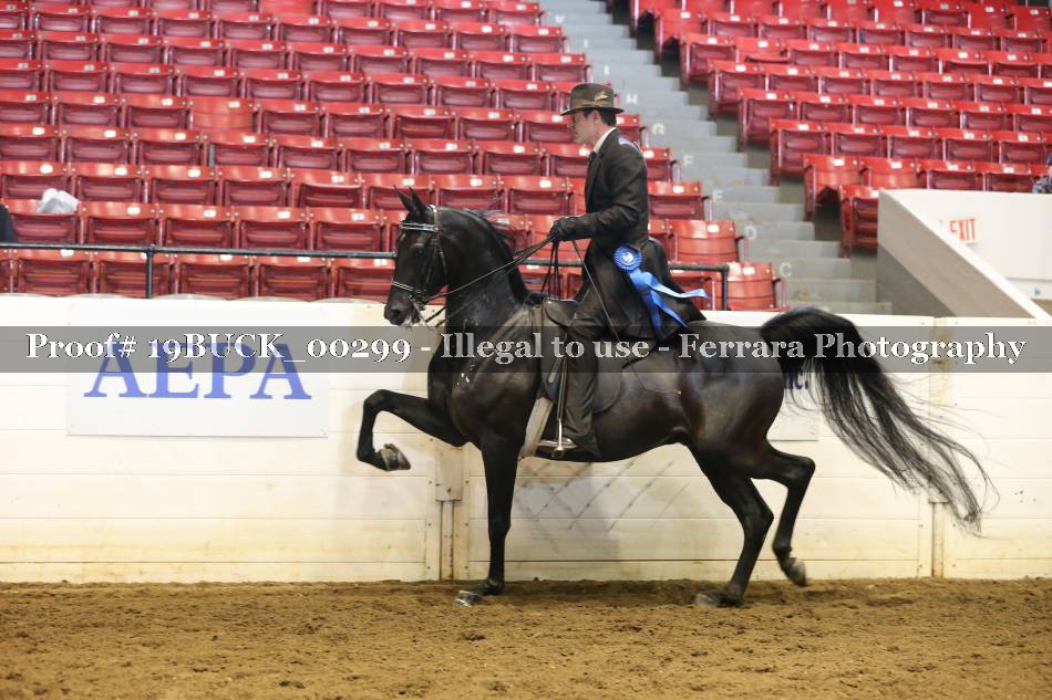 Proof 19BUCK_00299