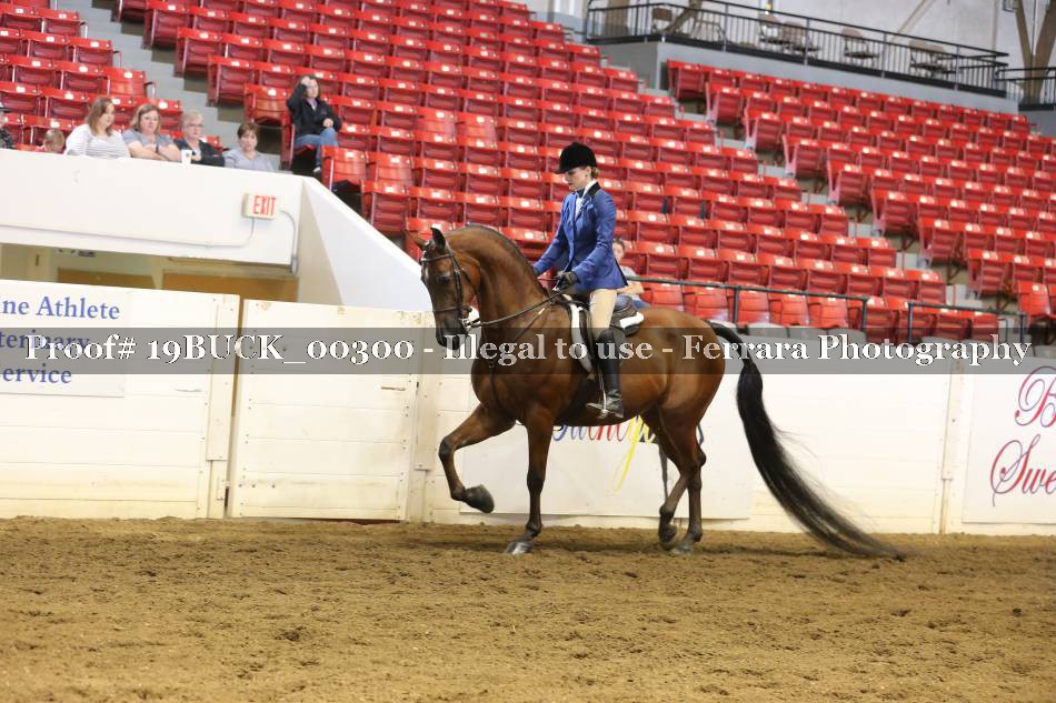 Proof 19BUCK_00300