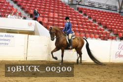 19BUCK_00300 proof