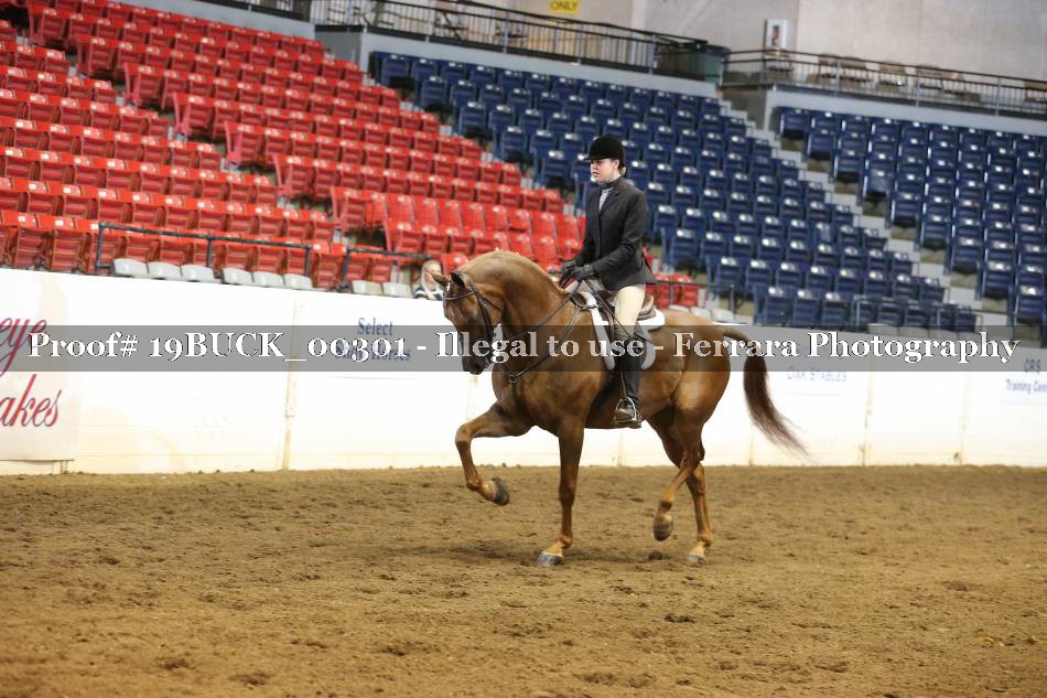 Proof 19BUCK_00301