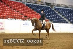 19BUCK_00301 proof