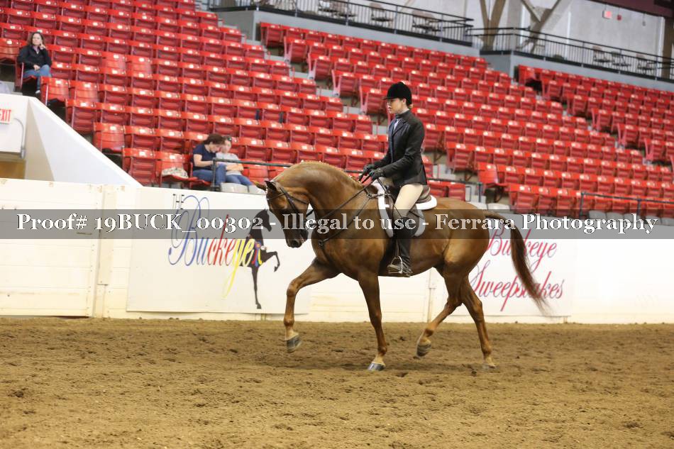 Proof 19BUCK_00302
