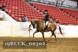 19BUCK_00302 proof