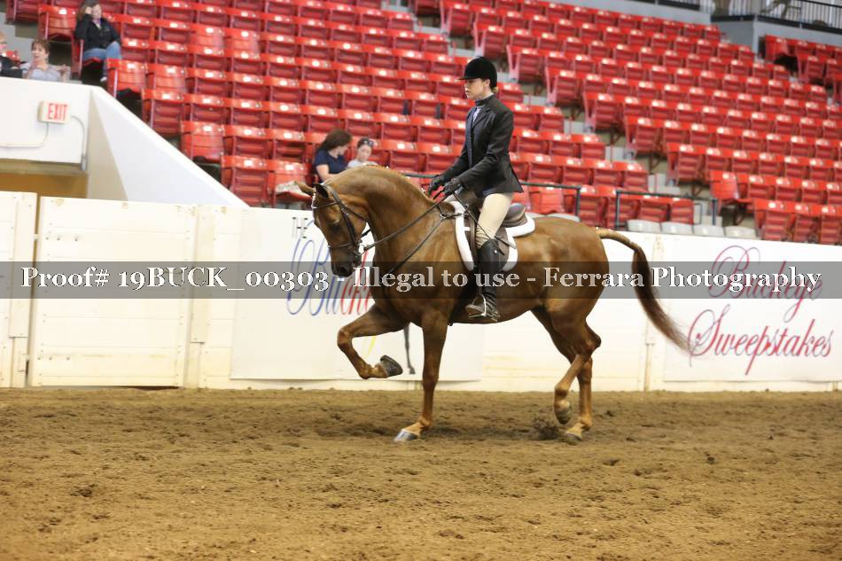 Proof 19BUCK_00303