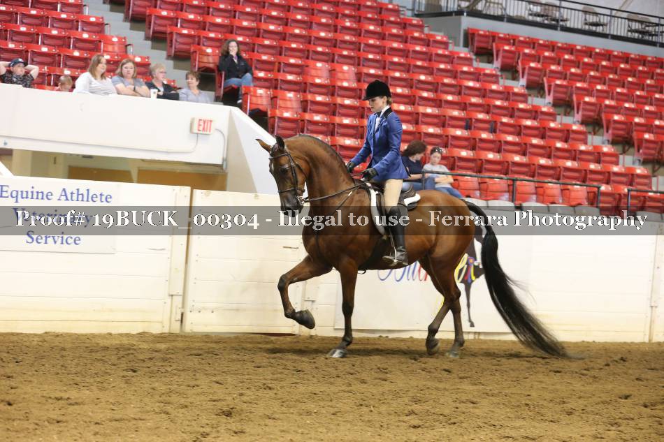 Proof 19BUCK_00304