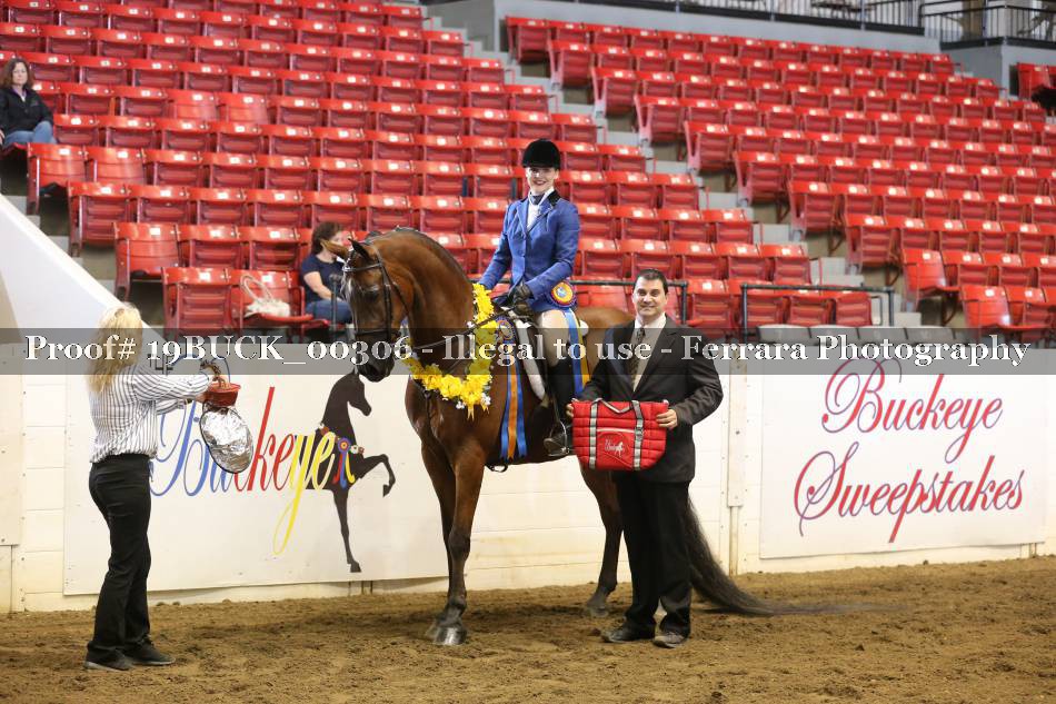 Proof 19BUCK_00306