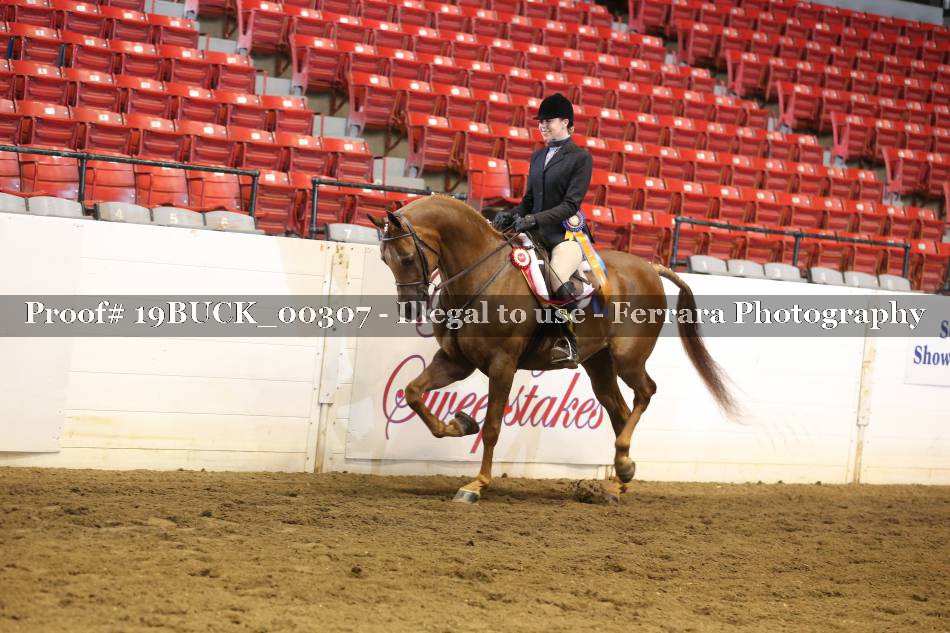 Proof 19BUCK_00307