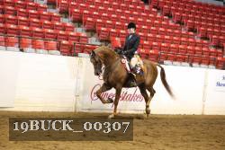 19BUCK_00307 proof