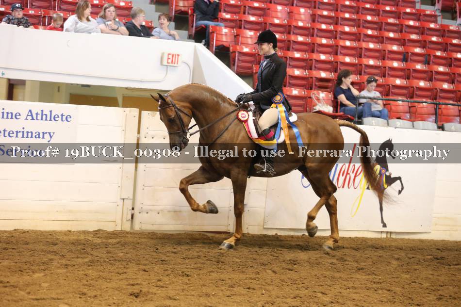 Proof 19BUCK_00308