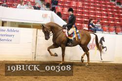 19BUCK_00308 proof
