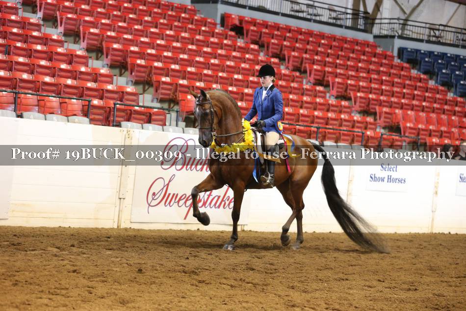 Proof 19BUCK_00309