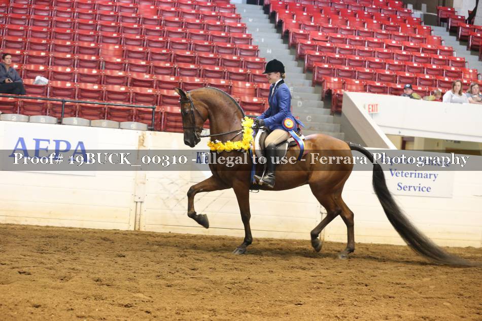 Proof 19BUCK_00310