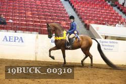 19BUCK_00310 proof