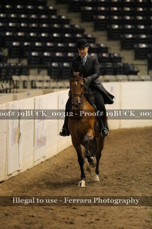 Proof 19BUCK_00312