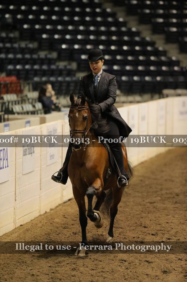 Proof 19BUCK_00313