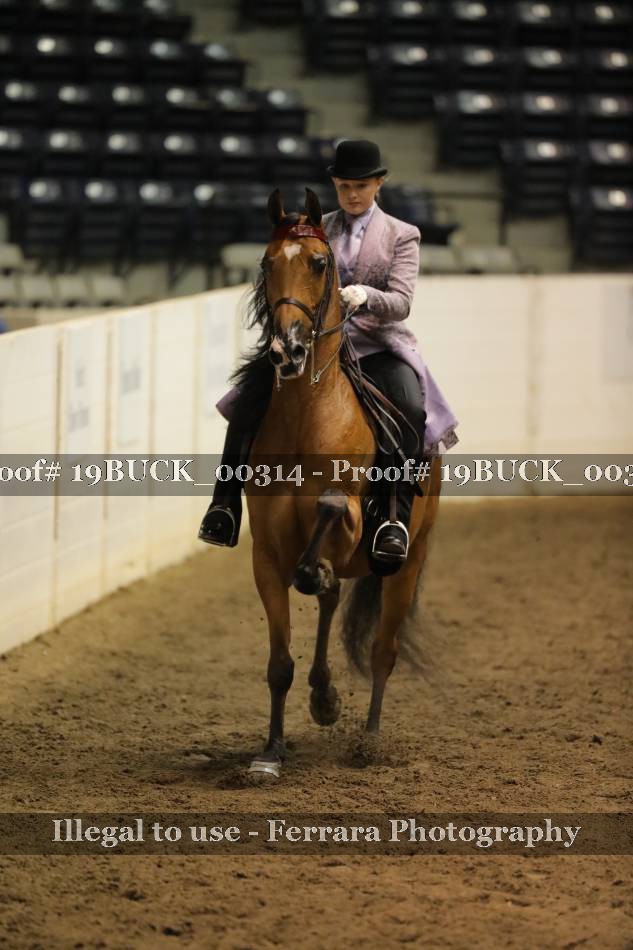 Proof 19BUCK_00314