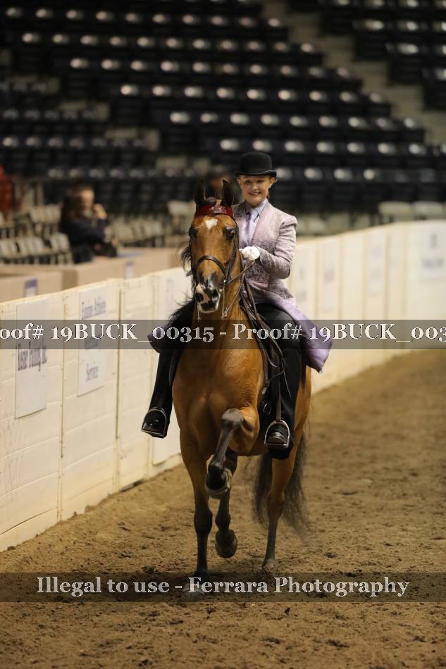 Proof 19BUCK_00315
