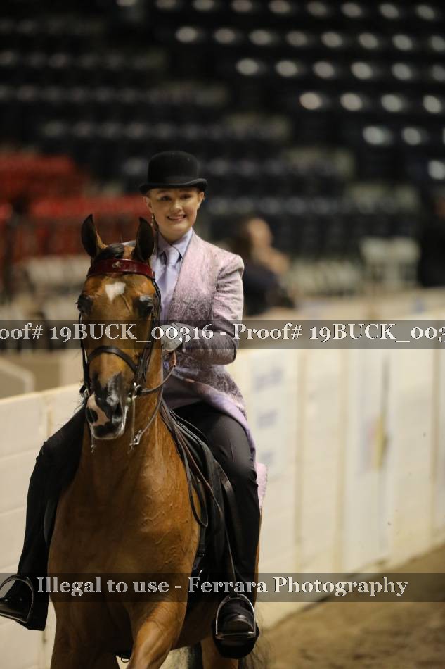 Proof 19BUCK_00316