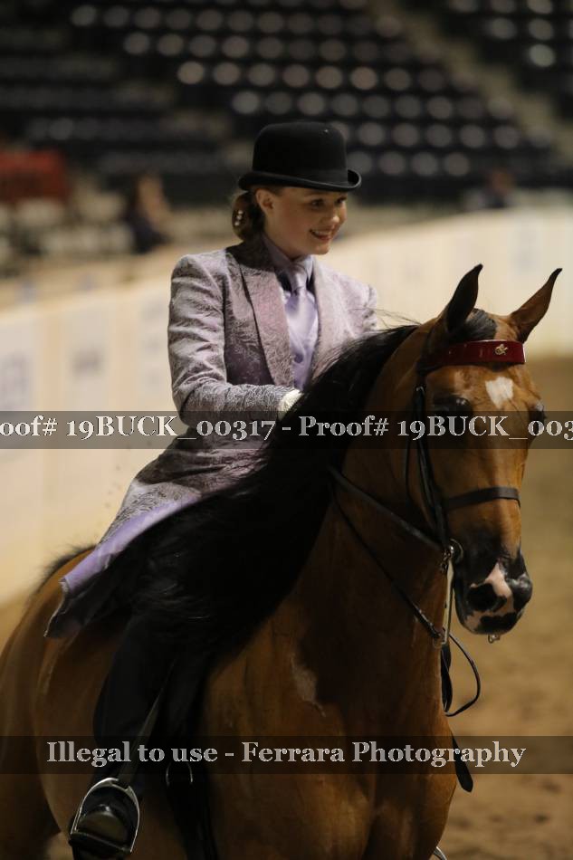 Proof 19BUCK_00317