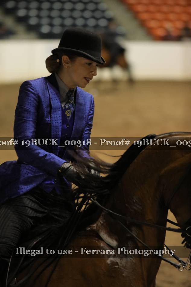 Proof 19BUCK_00318