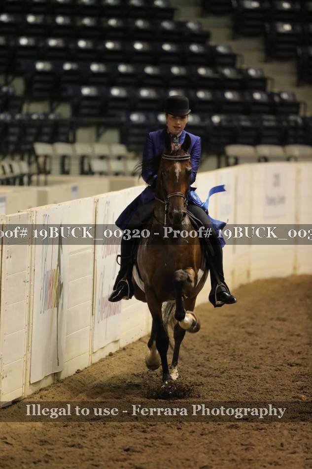 Proof 19BUCK_00320