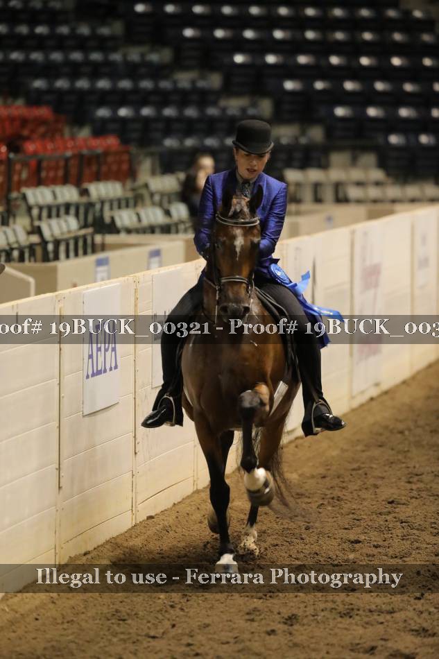 Proof 19BUCK_00321