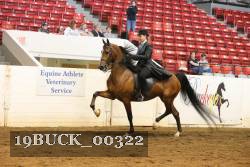19BUCK_00322 proof